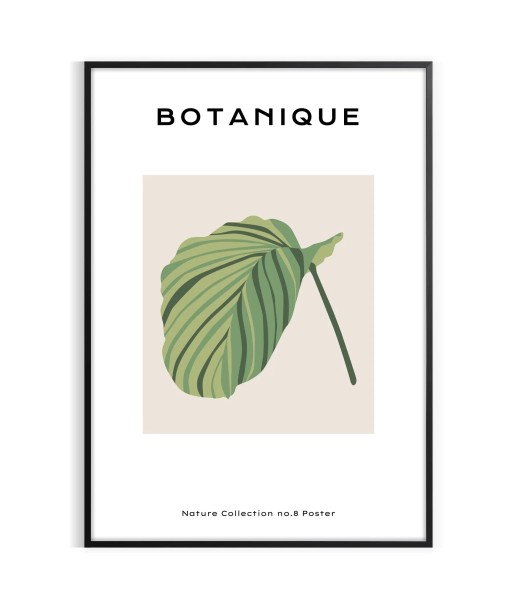 Affiche Botanique 8 shop