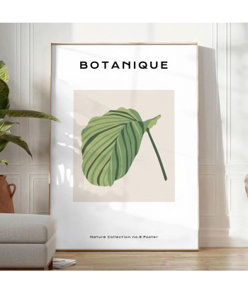 Affiche Botanique 8 shop