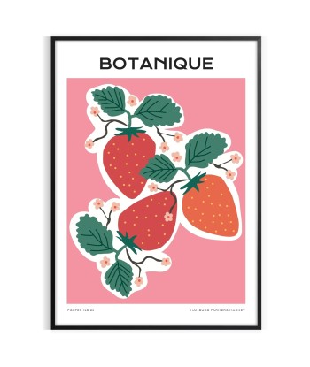 Nature Botanique Affiche Pour