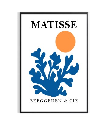 Matisse Papier Découpés Art 1 français