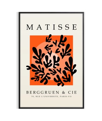 Matisse Papier Découpés Poster 5 acheter