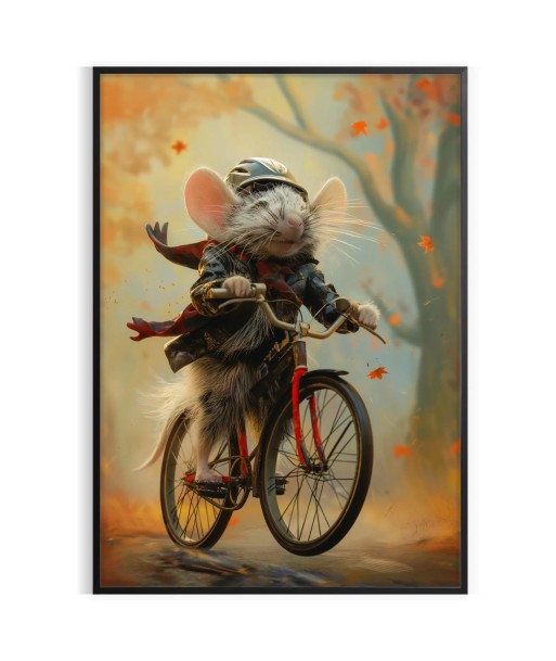 Animal Rat Vélo Poster france