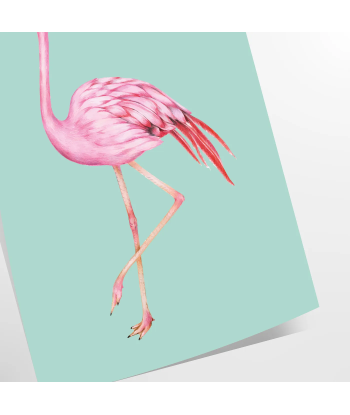 Flamant Animal Affiche suggérées chez