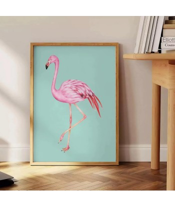 Flamant Animal Affiche suggérées chez