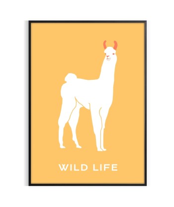 Lama Animal Poster en linge