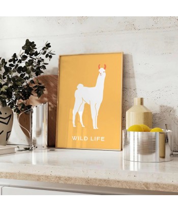 Lama Animal Poster en linge