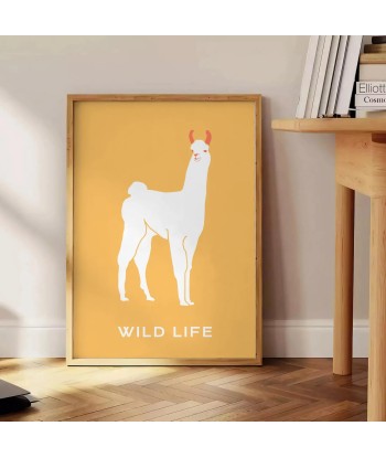 Lama Animal Poster en linge