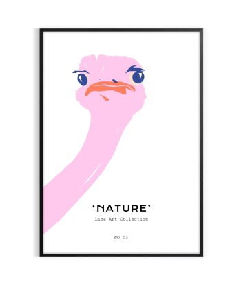 Affiche Animalier D’Autruche Comparez plus de prix