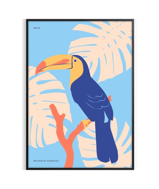 Toucan Animal Poster à prix réduit toute l'année