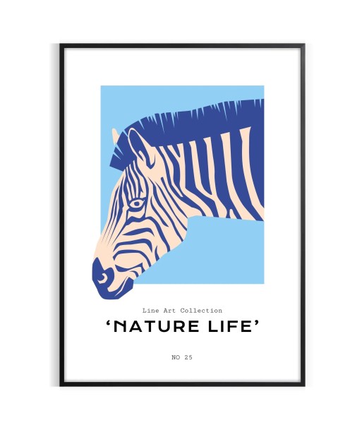 Animal Zèbre Affiche la livraison gratuite