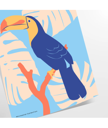 Toucan Animal Poster à prix réduit toute l'année