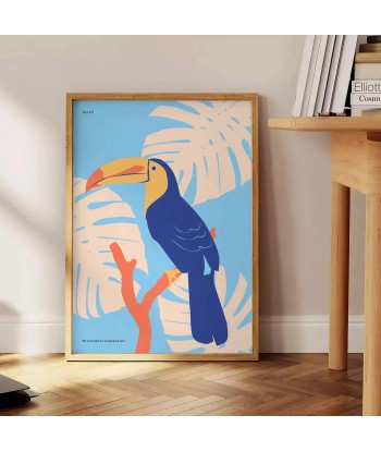 Toucan Animal Poster à prix réduit toute l'année