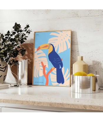 Toucan Animal Poster à prix réduit toute l'année