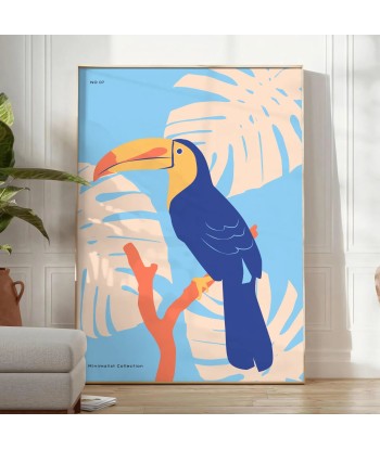 Toucan Animal Poster à prix réduit toute l'année