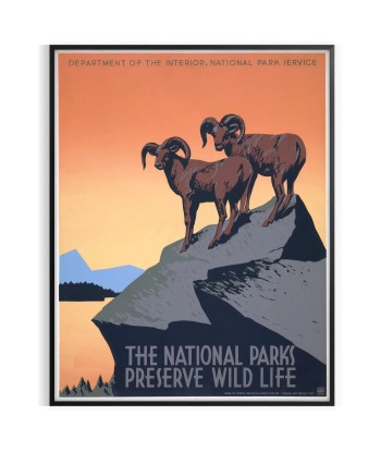 Affiche Voyage Parc National Américain pas cheres