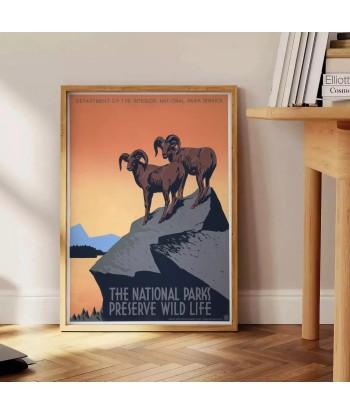 Affiche Voyage Parc National Américain pas cheres