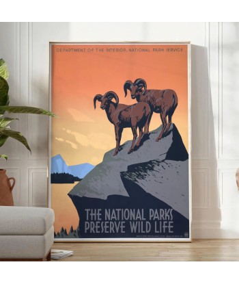 Affiche Voyage Parc National Américain pas cheres