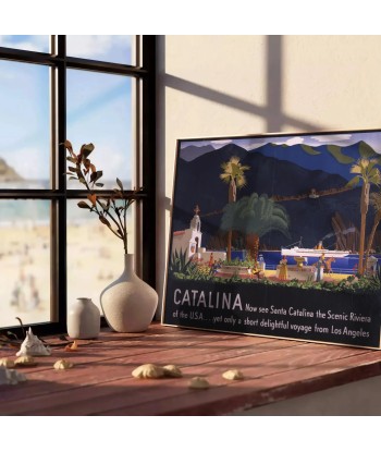 Affiche Voyage Catalina En savoir plus