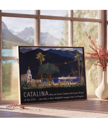 Affiche Voyage Catalina En savoir plus