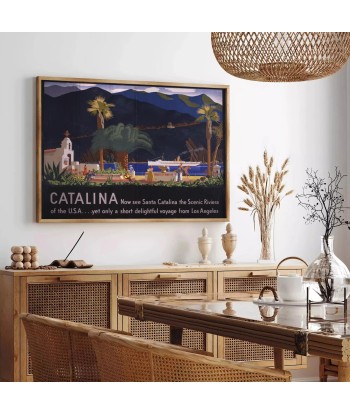 Affiche Voyage Catalina En savoir plus