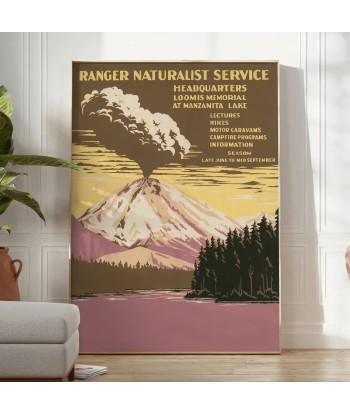 Affiche Voyage Parc National, Affiche une grave pollution 