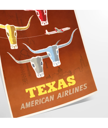 Us Texas American Airlines Affiche Voyage Affiche paiement sécurisé